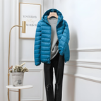 Blauw