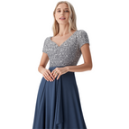 Silver Blauw