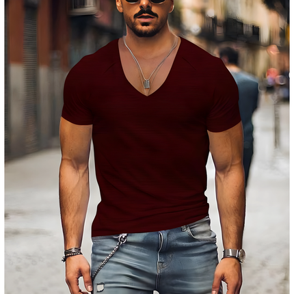 Lewin | Heren T-shirt | V-hals met Slim Fit en Veelzijdig Design