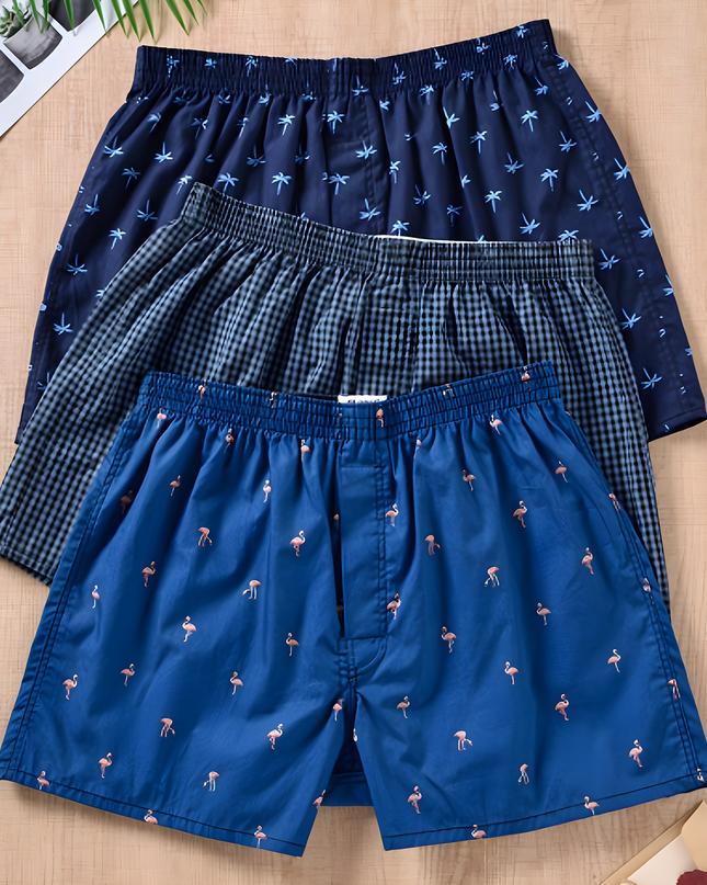 Steyn | Heren Boxershorts | Set Van 3 Met Print